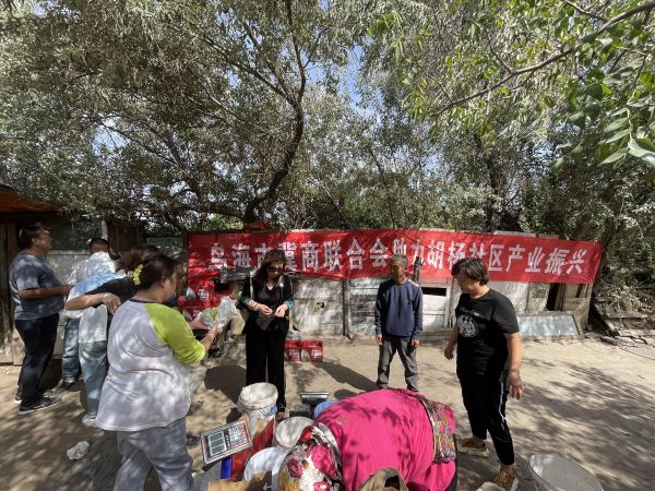 微信图片_20231012172540