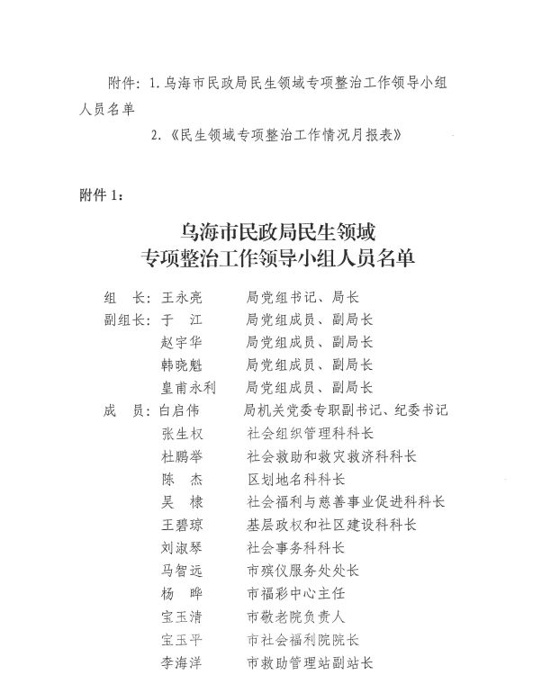 市民政局关于印发《乌海市民政局关于开展民生领域专项整治的实施方案》的通知_页面_8